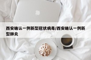 西安确认一例新型冠状病毒/西安确认一例新型肺炎