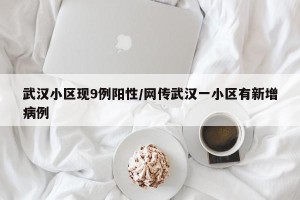 武汉小区现9例阳性/网传武汉一小区有新增病例